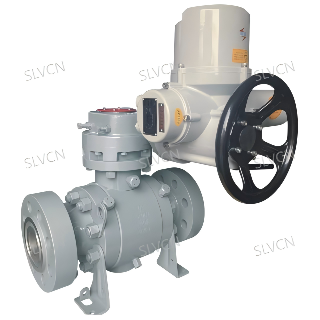Class 2500 Forged Steel Ball Valve
